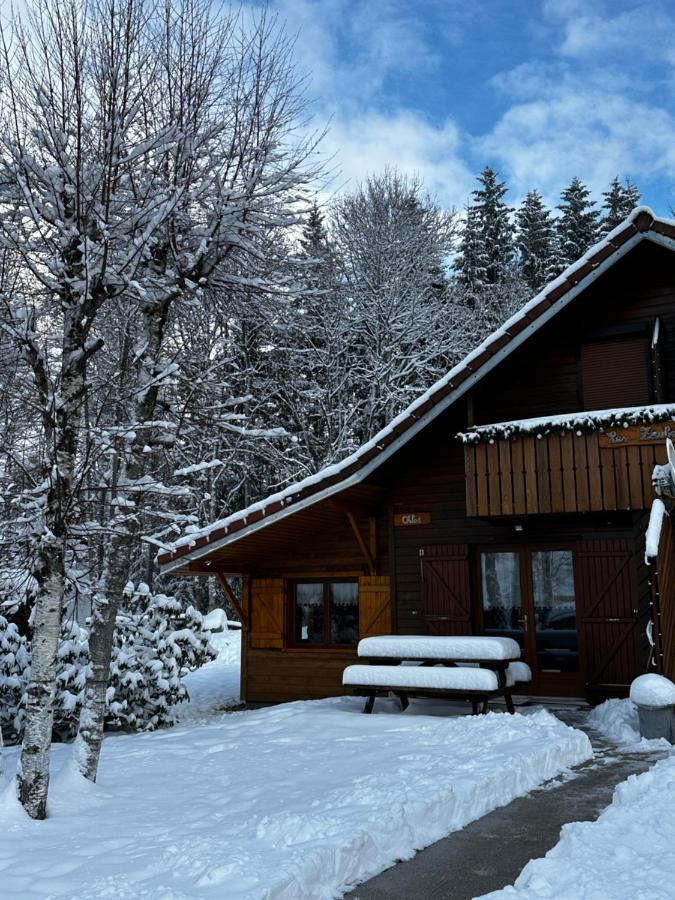 Chalet Chloe - Wifi, Bbq, Parking Ксонрю-Лонжмер Екстер'єр фото